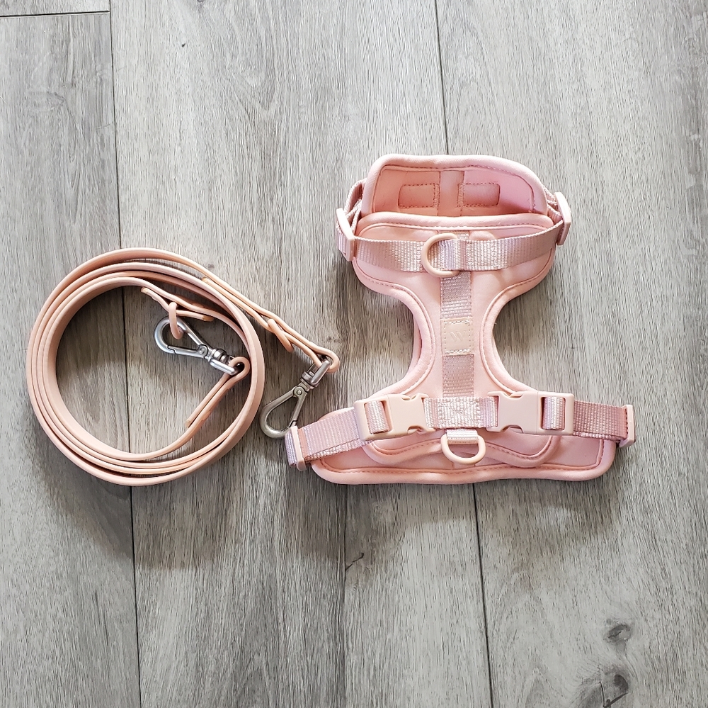 Wild One Blush Pink Leash and Harness Set Small